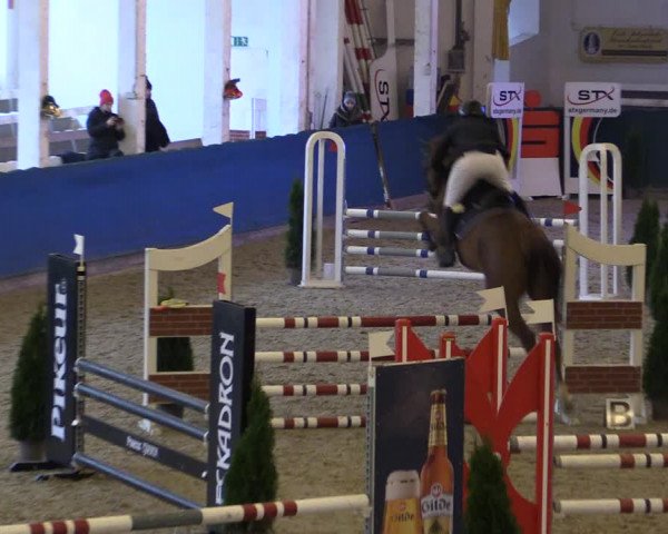 Reitturnier Salzwedel 2023