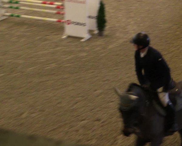 Reitturnier Salzwedel 2023