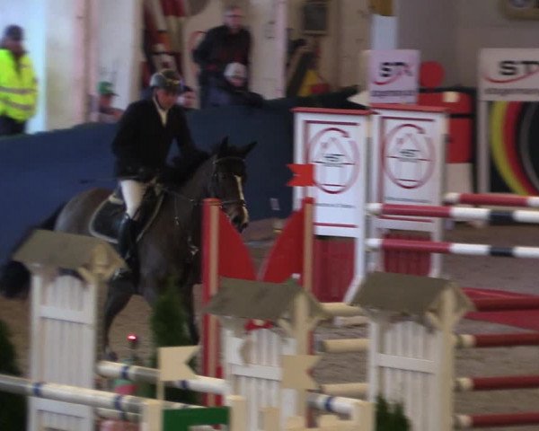 Reitturnier Salzwedel 2023