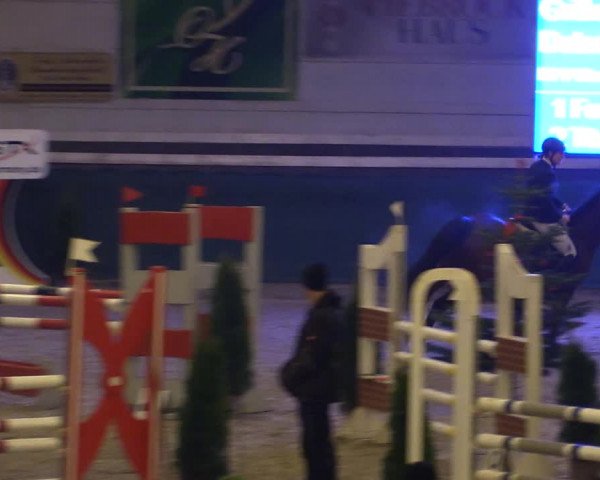 Reitturnier Salzwedel 2023