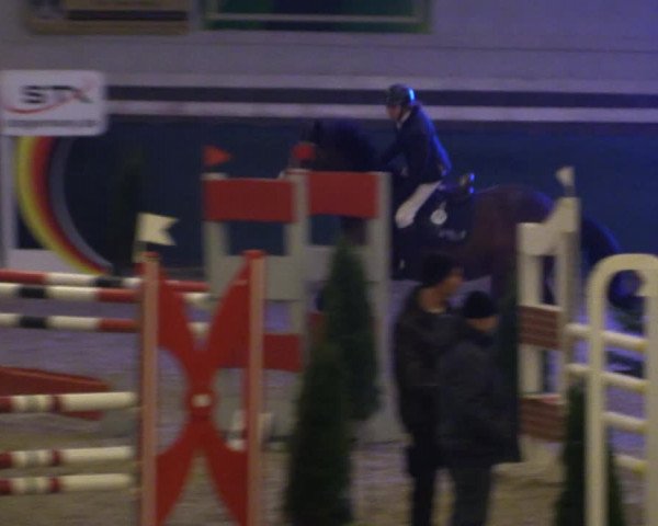 Reitturnier Salzwedel 2023