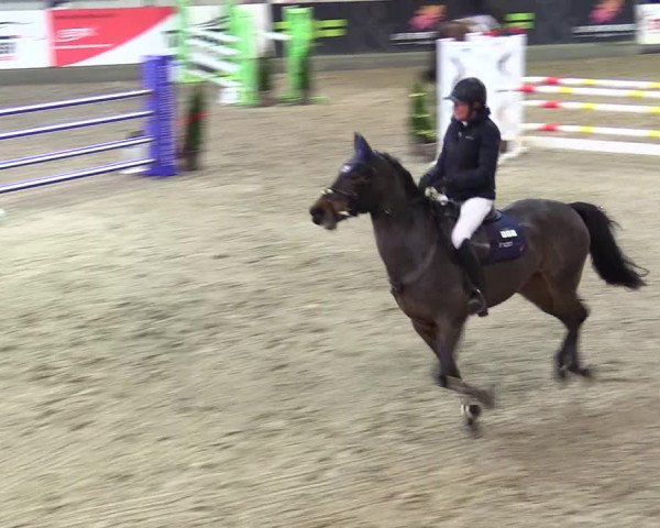 3. Nordic Jumping event Negernbötel 2023
