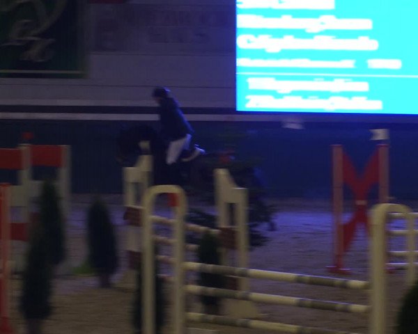 Reitturnier Salzwedel 2023