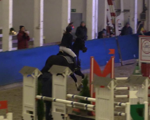 Reitturnier Salzwedel 2023