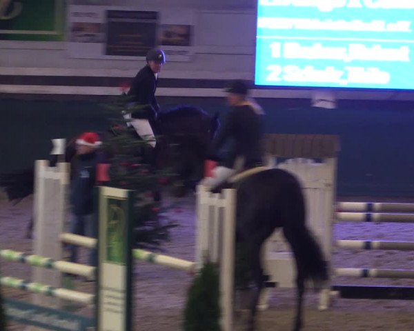 Reitturnier Salzwedel 2023