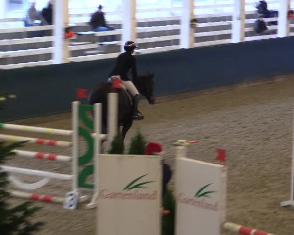 Reitturnier Salzwedel 2023