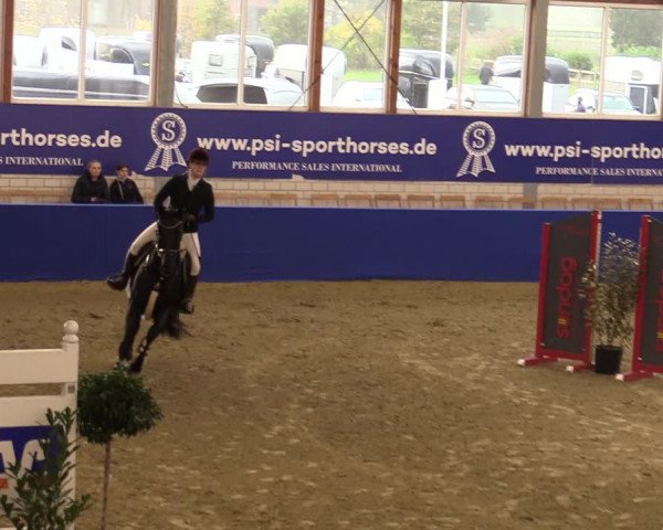Euregio Springturnier Isterberg 2021