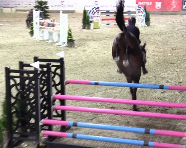 3. Nordic Jumping event Negernbötel 2023