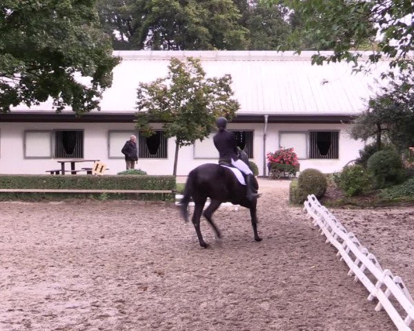 Reitturnier Kirchhellen-RSV Zur Linde 2021