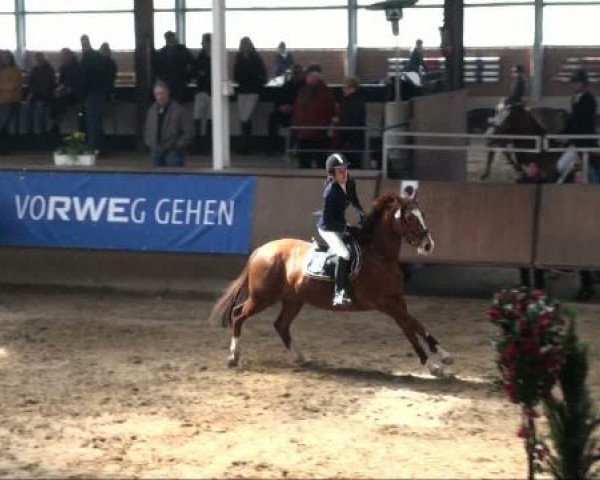 Alt Marl 2011