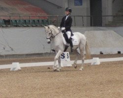 dressage horse Alfred 58 (unknown, 2003)