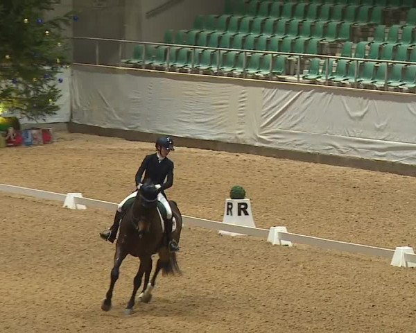Reitturnier Kreuth/Opf. 2023