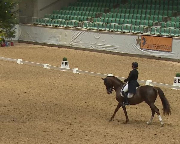 Reitturnier Kreuth/Opf. 2023