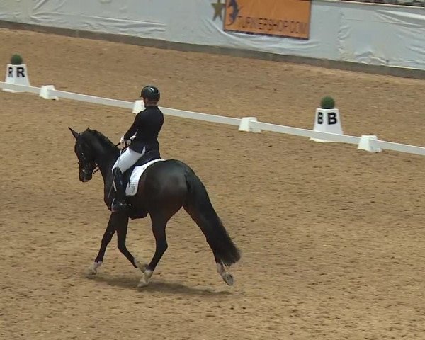 Reitturnier Kreuth/Opf. 2023