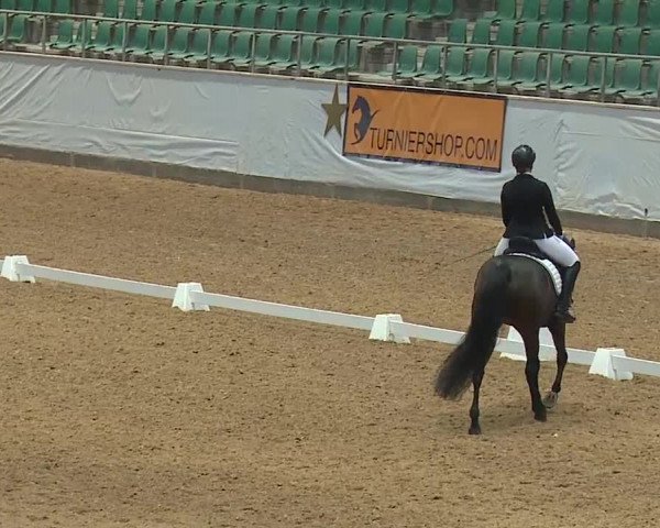 Reitturnier Kreuth/Opf. 2023