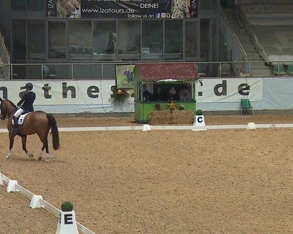 Reitturnier Kreuth/Opf. 2023