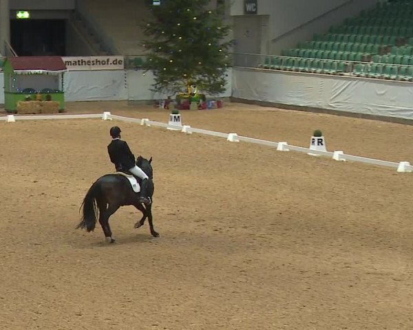 Reitturnier Kreuth/Opf. 2023