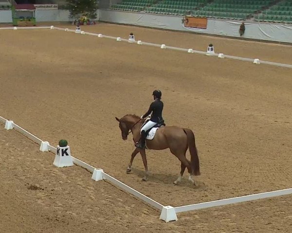Reitturnier Kreuth/Opf. 2023