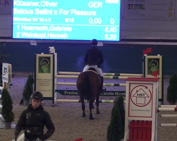Reitturnier Salzwedel 2023