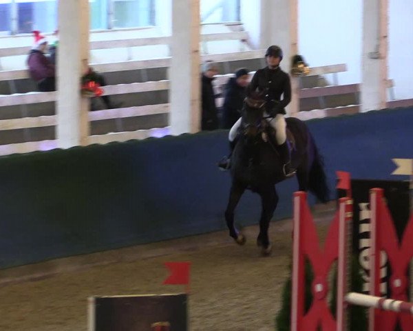 Reitturnier Salzwedel 2023