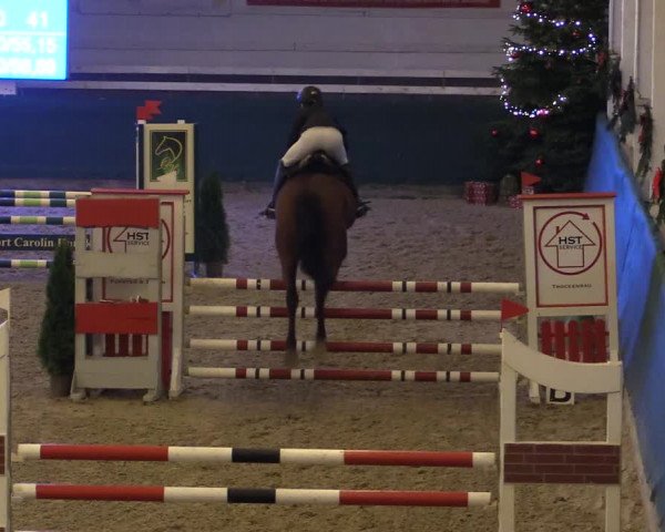 Reitturnier Salzwedel 2023