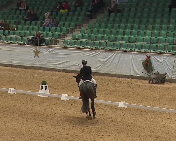 Reitturnier Kreuth/Opf. 2023