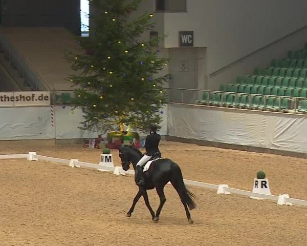 Reitturnier Kreuth/Opf. 2023
