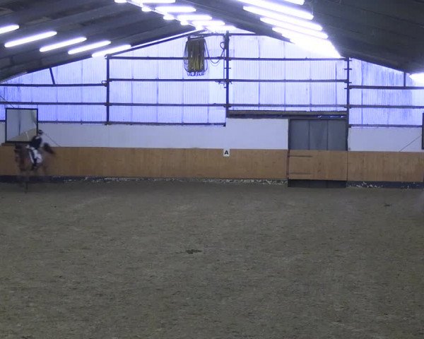 Reitturnier Datteln 2023