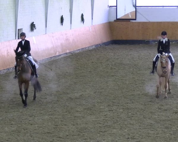 Reitturnier Datteln 2023