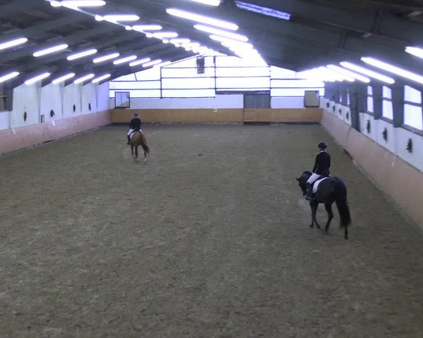 Reitturnier Datteln 2023