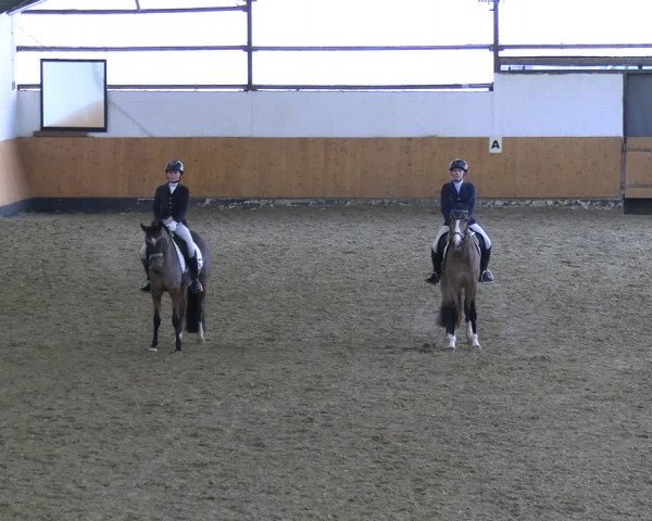 Reitturnier Datteln 2023