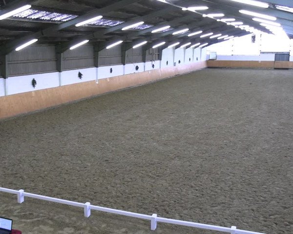 Reitturnier Datteln 2023