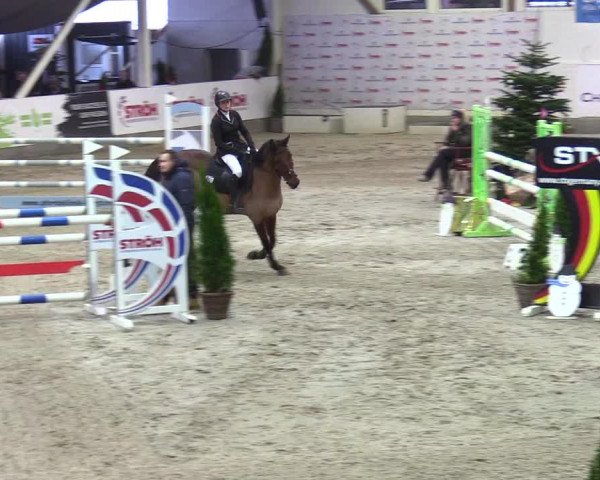 3. Nordic Jumping event Negernbötel 2023