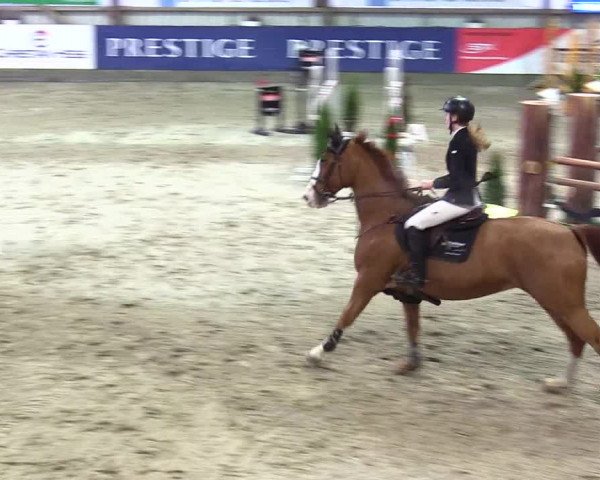 3. Nordic Jumping event Negernbötel 2023