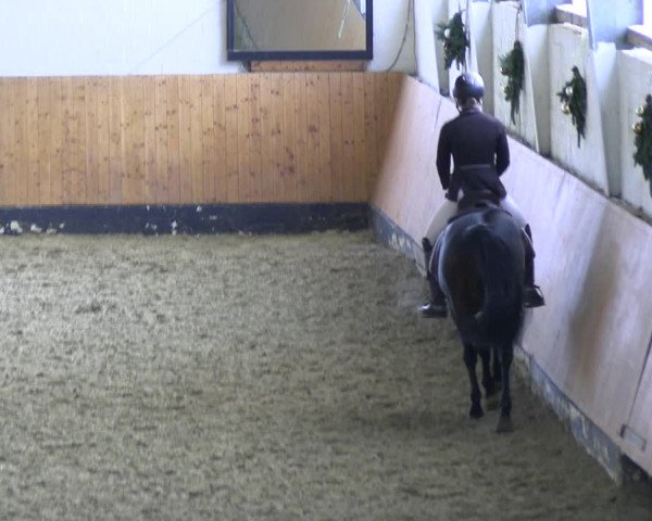 Reitturnier Datteln 2023