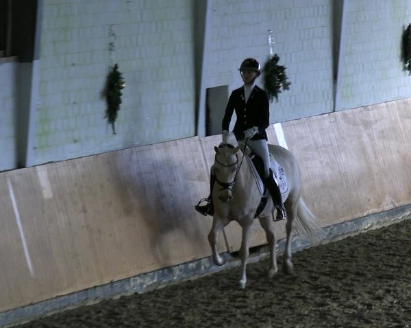 Reitturnier Datteln 2023