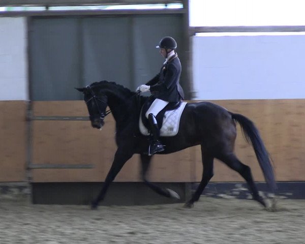 Reitturnier Datteln 2023