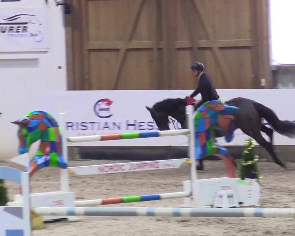 3. Nordic Jumping event Negernbötel 2023
