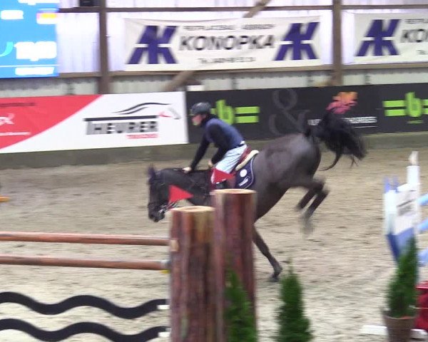 3. Nordic Jumping event Negernbötel 2023