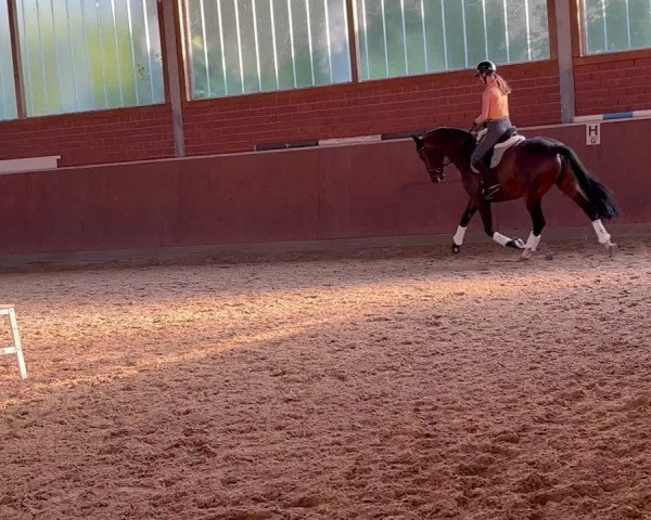 Video von Fairytale