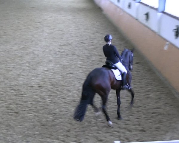 Reitturnier Datteln 2023