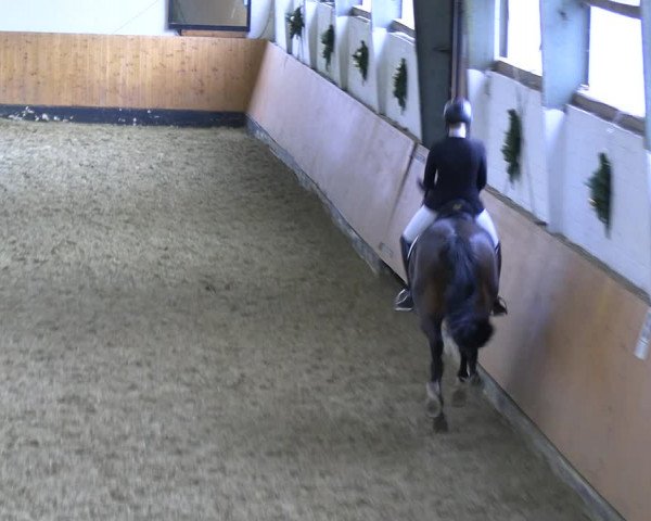 Reitturnier Datteln 2023