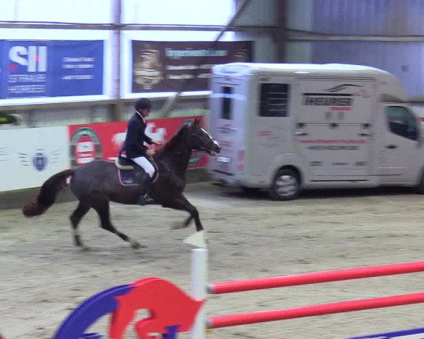 3. Nordic Jumping event Negernbötel 2023