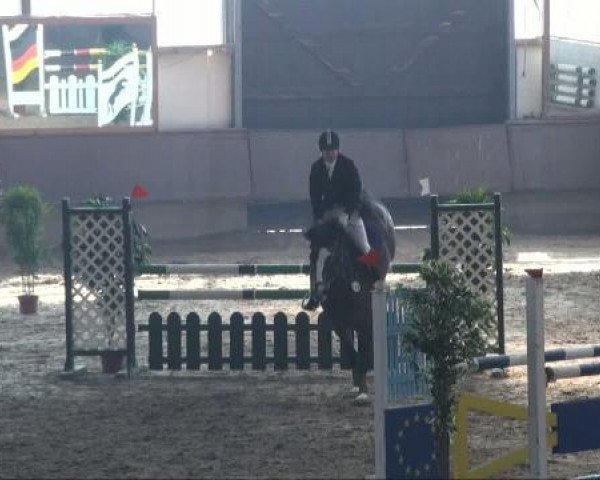 Alt Marl 2011