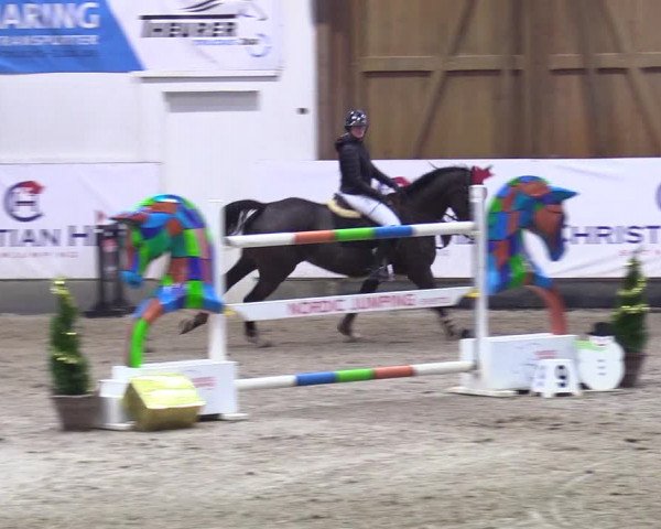 3. Nordic Jumping event Negernbötel 2023