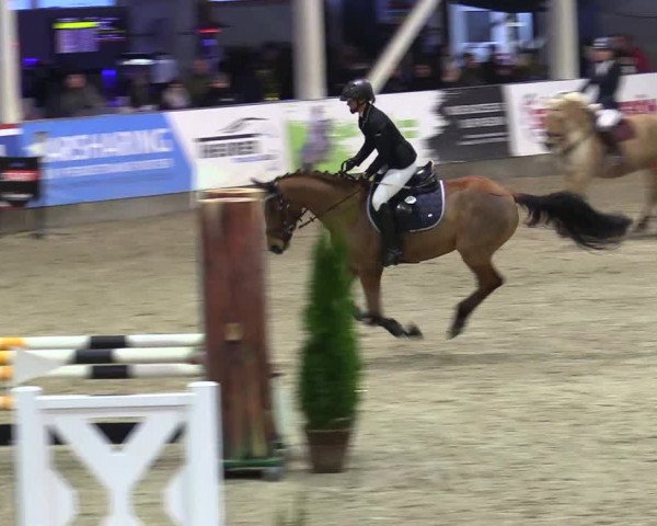 3. Nordic Jumping event Negernbötel 2023