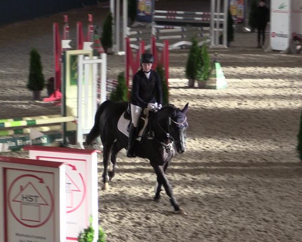 Reitturnier Salzwedel 2023