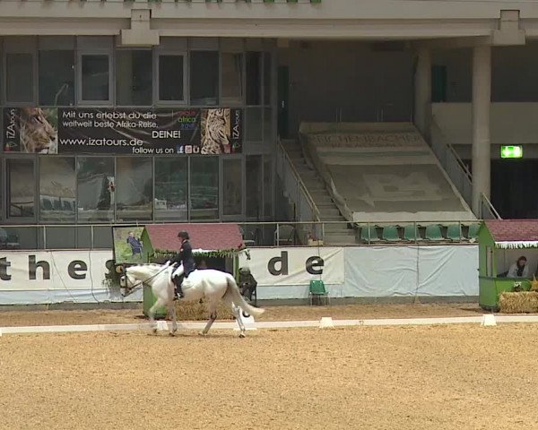 Reitturnier Kreuth/Opf. 2023