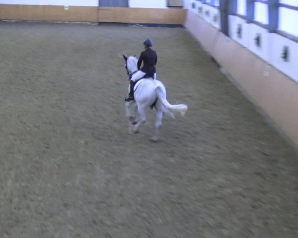 Reitturnier Datteln 2023