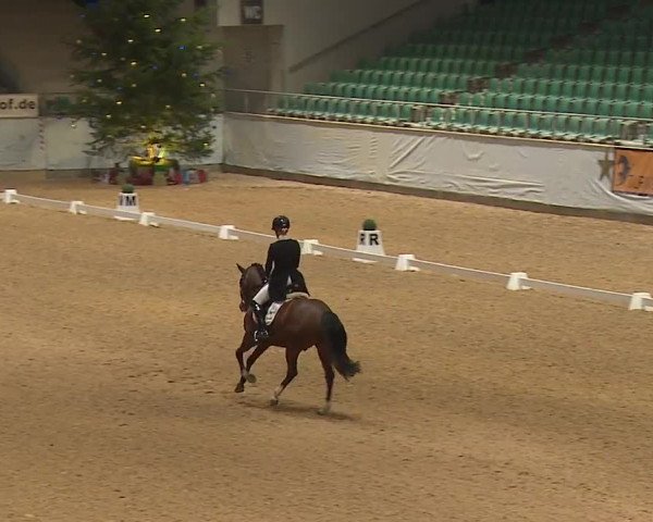 Reitturnier Kreuth/Opf. 2023